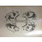 Flyer vindt het 5e varken/Flyer find the 5th pig/swine