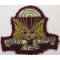 Canadian Airborne Regiment CAR Officer Bullion Cloth Cap Badge