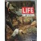 LIFE IM KRIEG.....groot foto boek over verschrikkingen in verschillende oorlogen