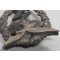 Erdkampfabzeichen mit Besitzzeugnis (Ground Assault Badge of the Luftwaffe with award document)