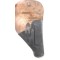 WH/LW Holster PPK hardshell