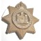 Devonshire Regiment WW2 Plastic Economy Cap Badge