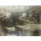 Foto dineren te velde 1905-10