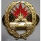 Brevet PANTSER BESTRIJDING Nederlands leger - Dutch ANTI TANK badge