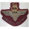 The Parachute  Regimental Military Blazer Badge 