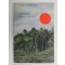 Rode zon bover Borneo