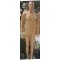 Mannequin male 1