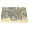 France - Postcard 1914 Convoi d'Allemands faits prisonniers par les Anglais