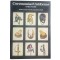 Book - Ceremonial Uniforms of the World