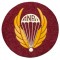 Italy - cloth badge A.N.P.D'L  - associazione paracadutisti