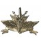 35th Paratroopers infantry brigade Teleprocessing Company