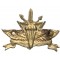 35th Paratroopers infantry brigade Teleprocessing Company