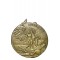France - WW1 commemorative Medal - 'Liberatum' J P Laurens