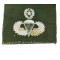 US Army Master Parachutist Badge