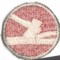 Sleeve patch 84th Infantry Division