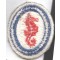 Sleeve patch Engineers Special Brigades