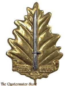 Badge Stellenbosch University Regiment South Africa post 1964