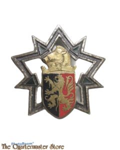 France - Insigne 3° RG Régiment du Génie Charleville Mézières (Ardennes)
