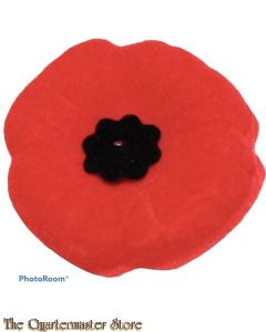 The remembrance poppy