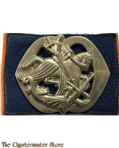 Baret embleem , Regiment Huzaren , Huzaren van Prins van Oranje