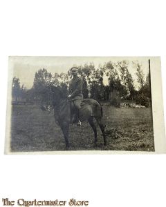Postkarte 1914-18 Studio photo Soldat auf Pferd