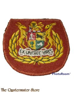 Badge Warrant Officer 1  South Africa (red)