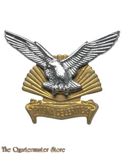 Badge Durban (King Shaka) Regiment South Africa 1964-66