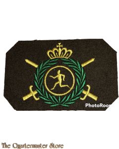 Stoffen Vaardigheids embleem Sportinstructeur (officier)