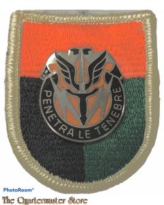 Beret flash 112 Signals Battalion with crest