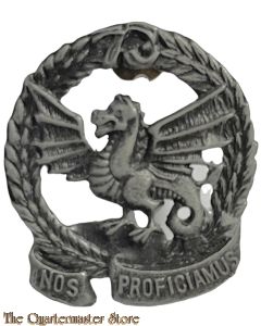 Badge HQ 73 motorized Brigade South Africa