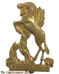 Badge Regiment Bloemspruit South Africa post 1966
