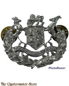 Badge Warrant Officer 1  South Africa (silver metal)