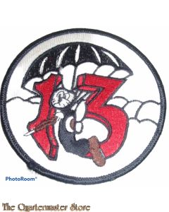 Badge 513th Parachute Infantry Regiment 