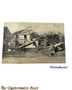 Postcard 1914 Duitsche verwoestingen in Frankrijk Boomen in Noyon (Oise) met dynamiet vernield