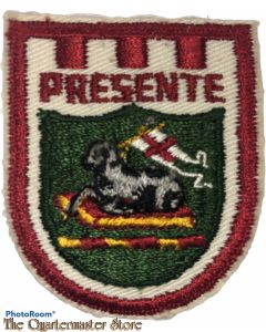 Beret flash HQ Puerto Rico National Guard 
