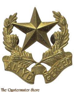 Badge Regiment Botha na 1962