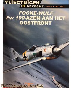 Focke Wulff FW 190 azen aan het Oostfront (Vliegtuigen in gevecht)