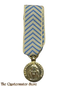 France - Miniature medaille titre de reconnaissance de la Nation (T.R.N)