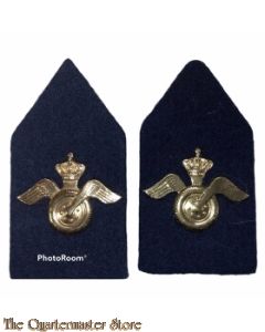 Kraag emblemen Regiment Aan en Afvoertroepen