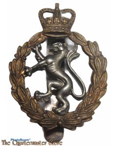 Cap badge QMAAC & ATS Old Comrades Association membership