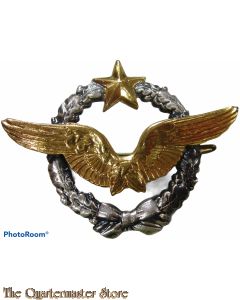 France - Badge Air Force Pilot Wings DRAGO