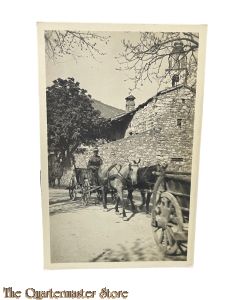 (Studio Photo) Postkarte 1916 Osterreich Soldat mit Pferd transport