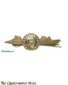 Collar badge RAF Dental Branch