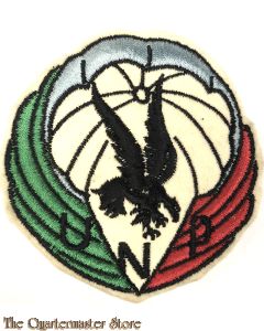 France - Insigne L'Union nationale des parachutistes