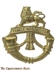 Badge Rand light Infantry South Africa (variation)
