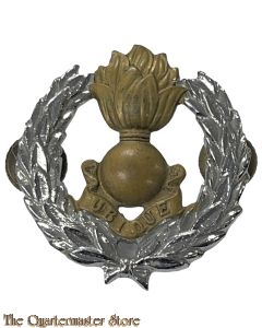 Badge Engineers South Africa