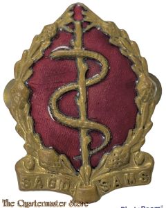 Badge Medical Services South Africa pre 1983