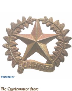 Cap badge  New Zealand Army 17th Ruahine Regiment 