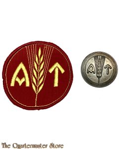 Norway - Brooch and sleeve badge Arbeidstjenesten ( AT )
