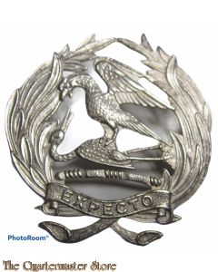 South Africa Cap badge First City Reserve Regiment